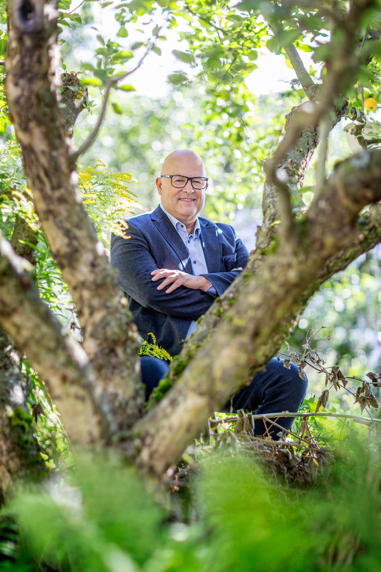 Norbert Peter sitzt lächelnd in einem alten Apfelbaum