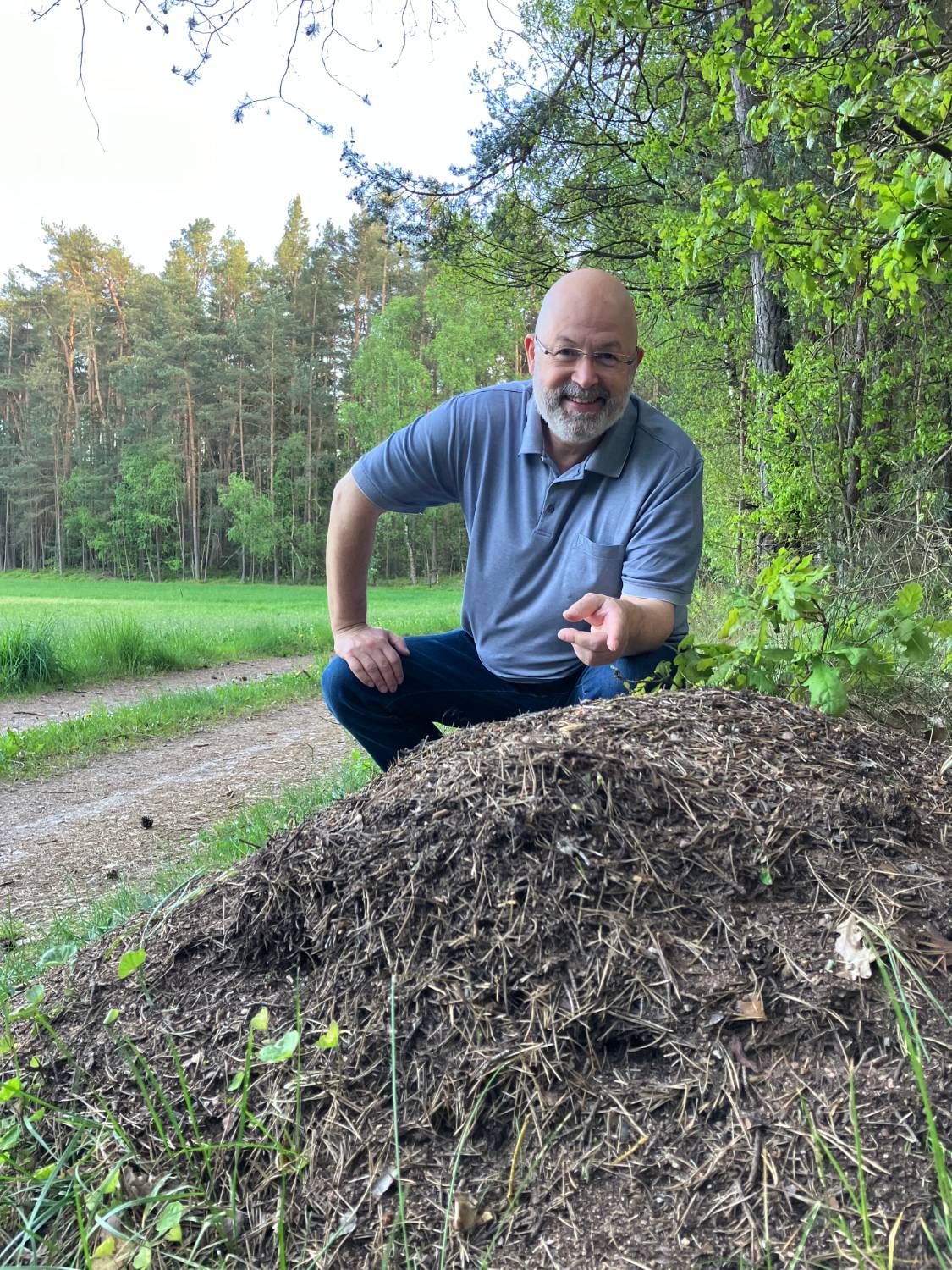 Norbert Peter kniet neben einem Ameisenhaufen am Waldrand